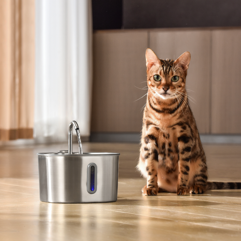 KittySpout™ - Kit de 2 meses para fuente de 2,2 l