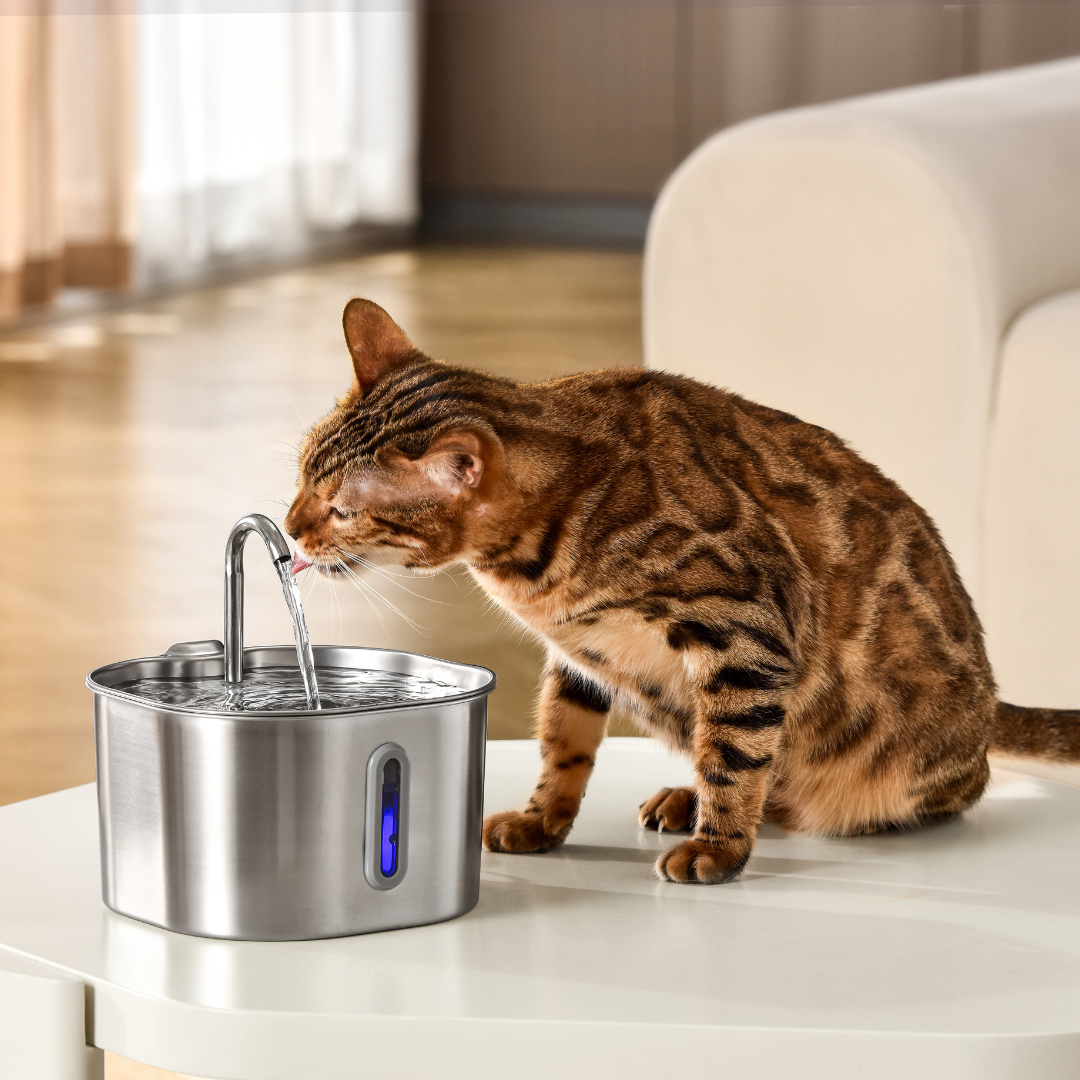 Filtros para fuentes inalámbricas 2.0 y 2.2L