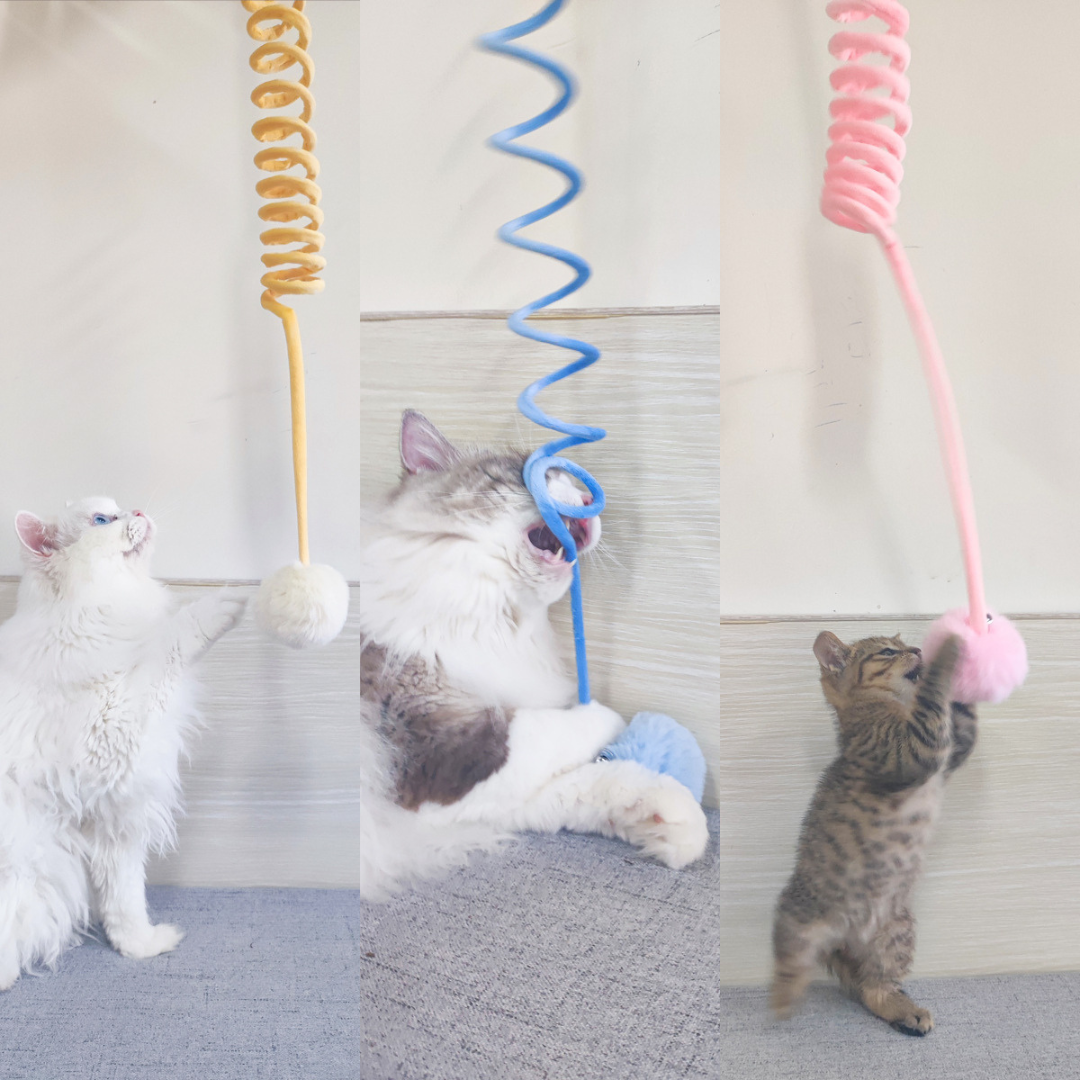 Juguete interactivo de goma elástica para gatos