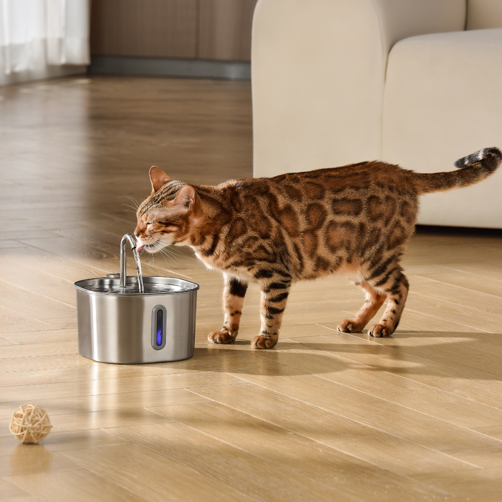 KittySpout™ - Kit de 2 meses para fuente de 2,2 l