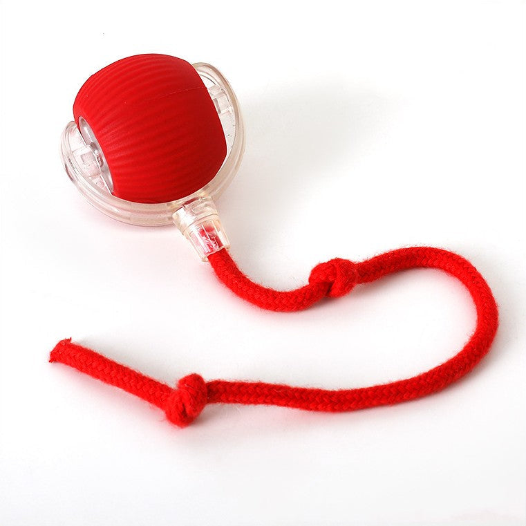 Pelota interactiva con cola para perros