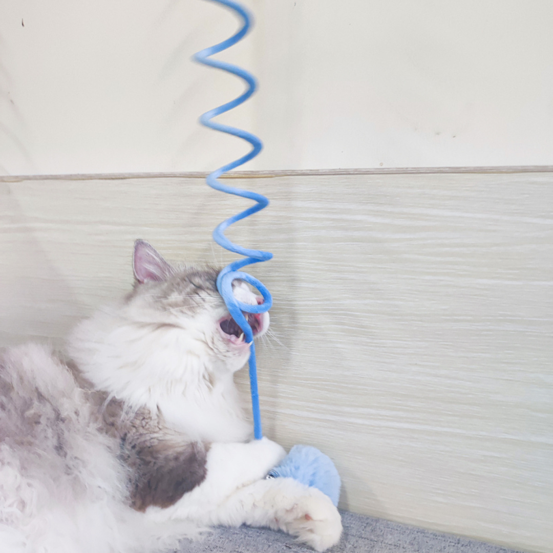 Juguete interactivo de goma elástica para gatos