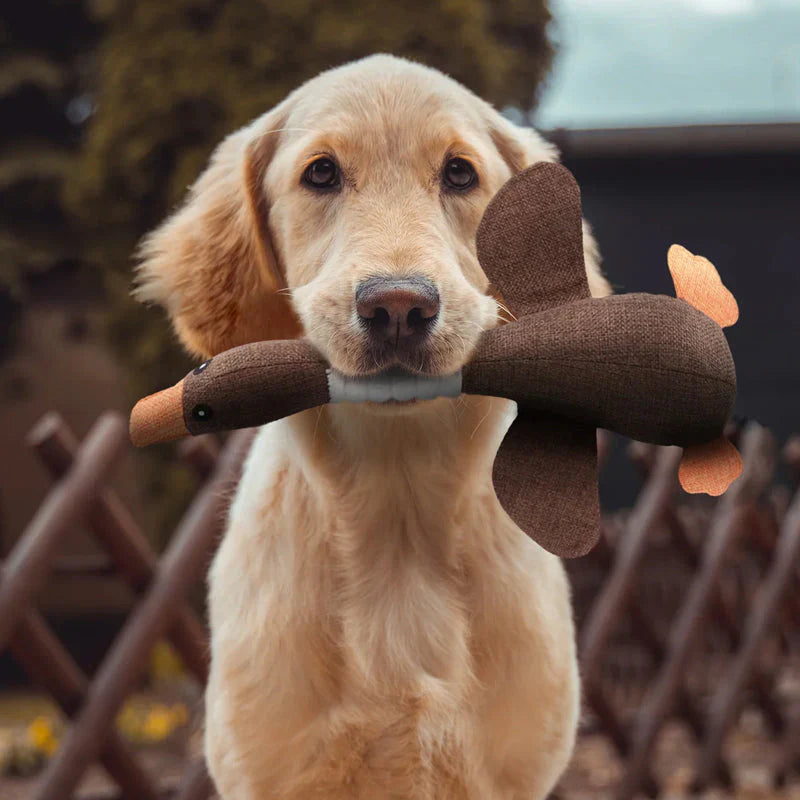 Juguetes para perros (1+1 GRATIS) – StarkGans