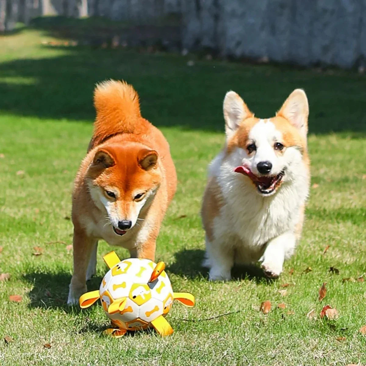 Juguete para perros en forma de pelota con cuerdas de tracción integradas