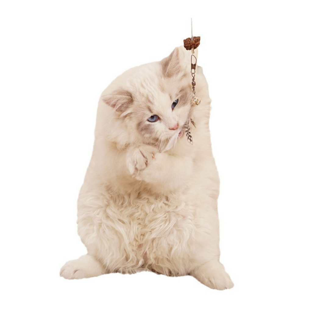 Juguete colgante con golosinas para gatos