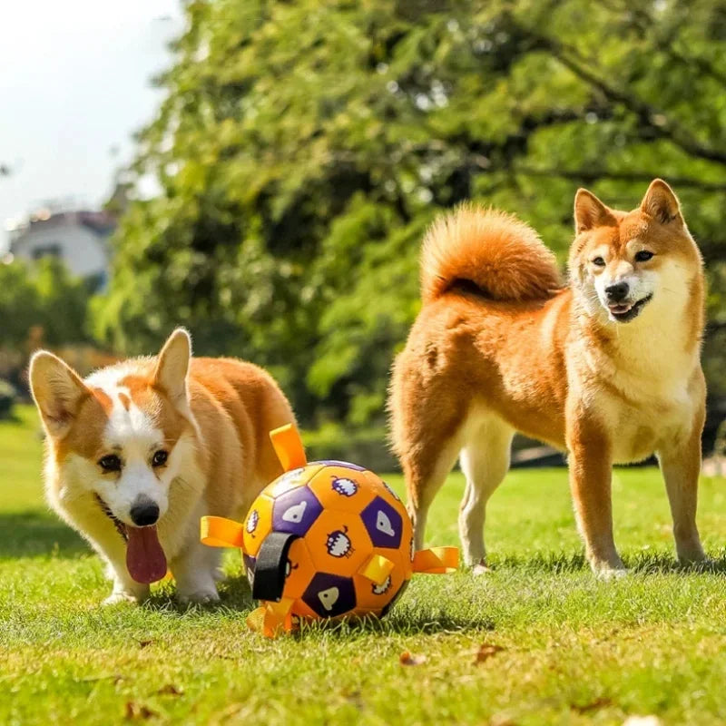 Juguete para perros en forma de pelota con cuerdas de tracción integradas