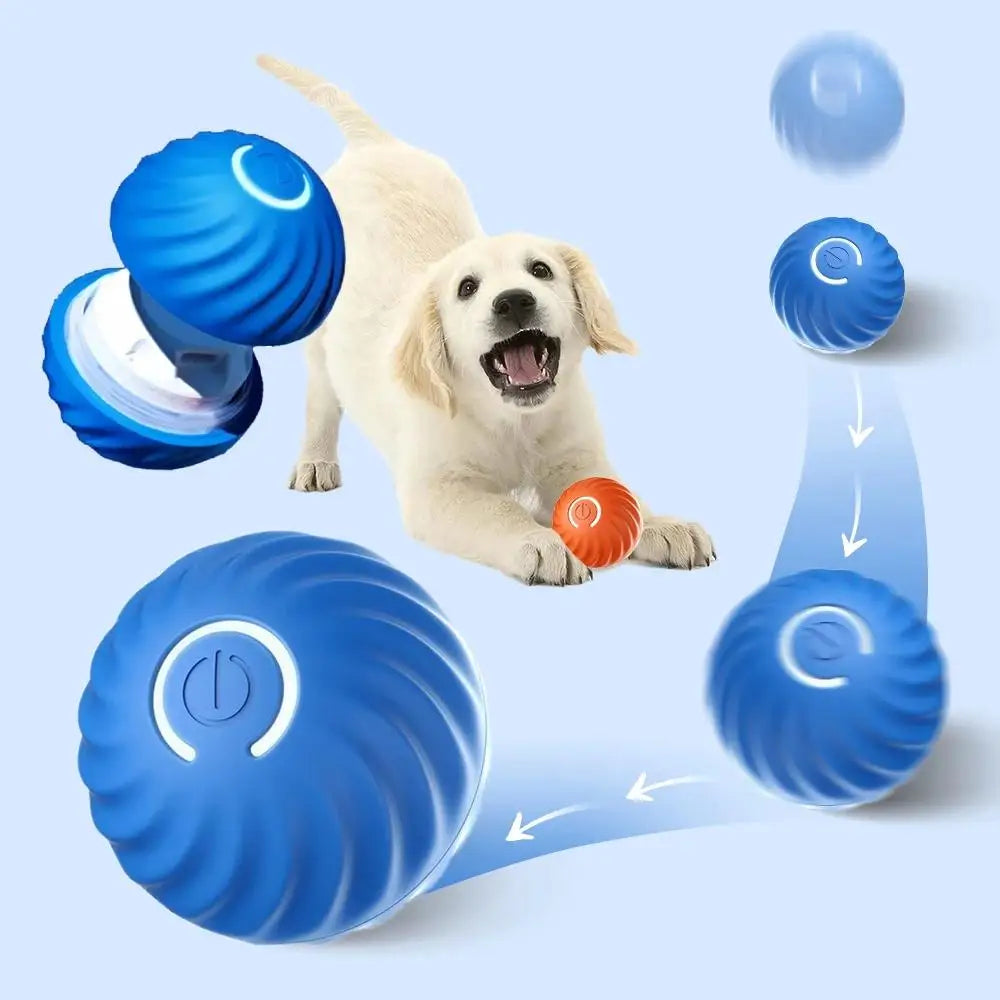 Pelota interactiva que rebota para perros
