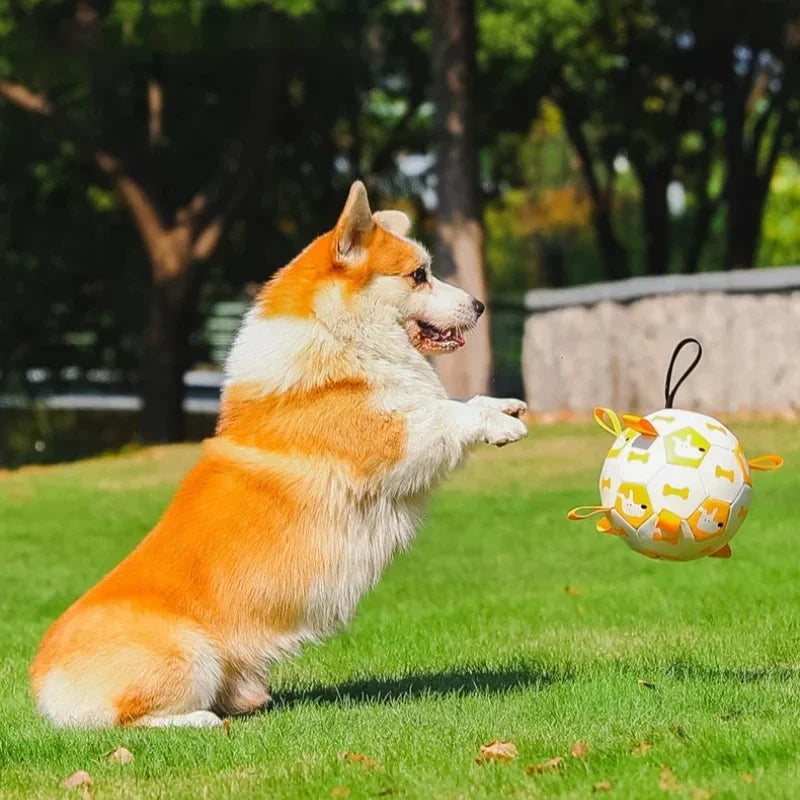 Juguete para perros en forma de pelota con cuerdas de tracción integradas