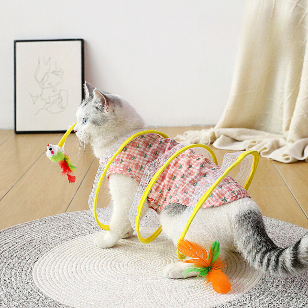 Juguete interactivo en espiral para gatos