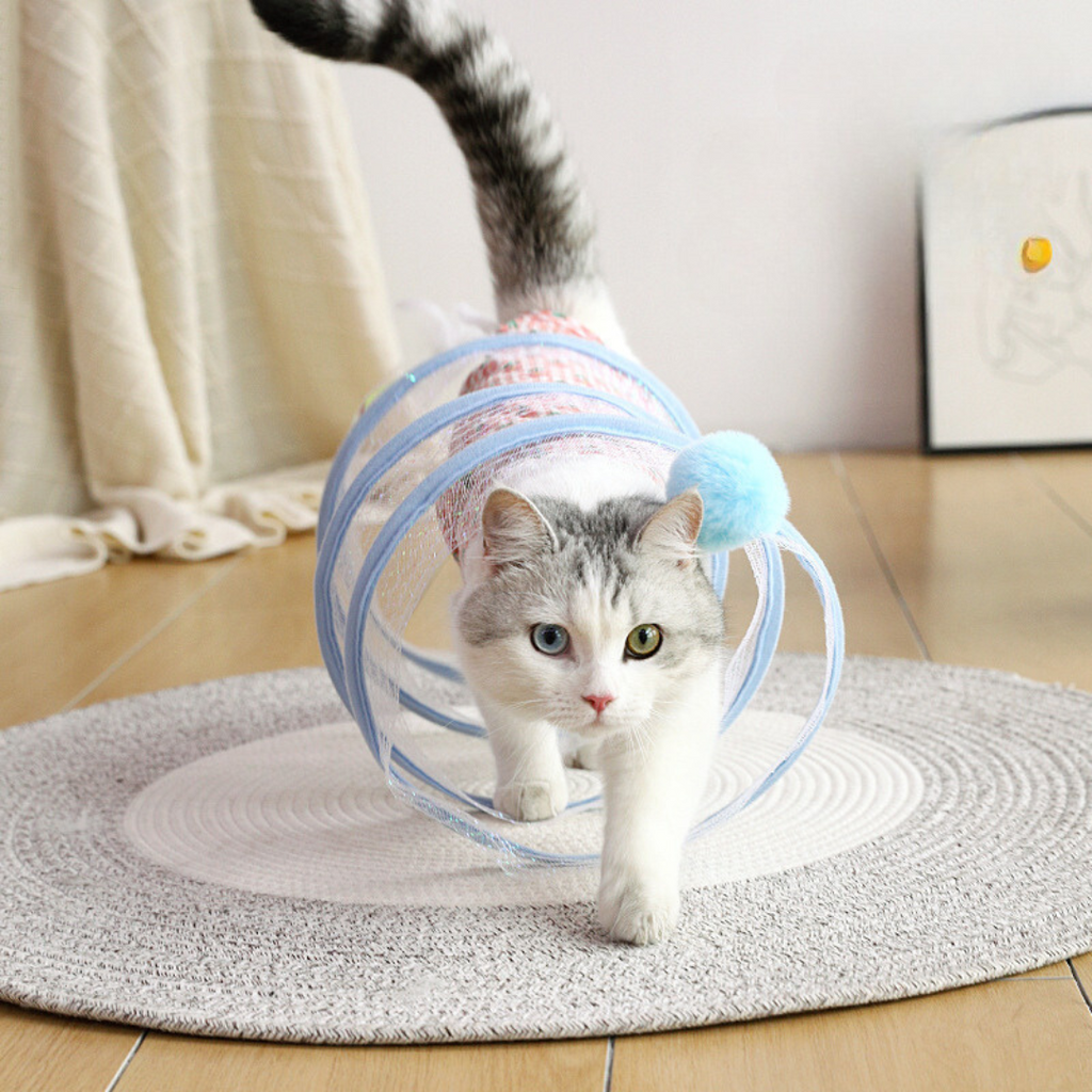 Juguete interactivo en espiral para gatos