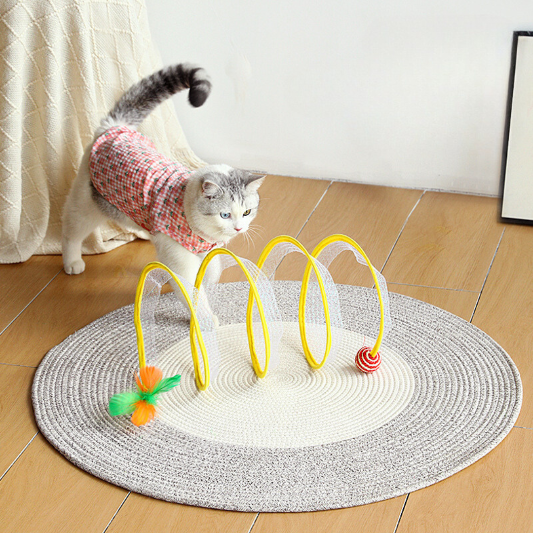 Juguete interactivo en espiral para gatos