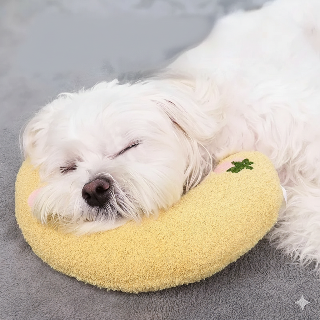 Ergonomisches Hunde Stützkissen für Gesunde Haltung