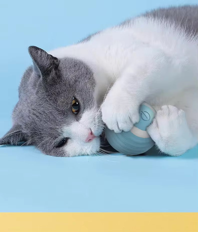 Pelota interactiva para gatos