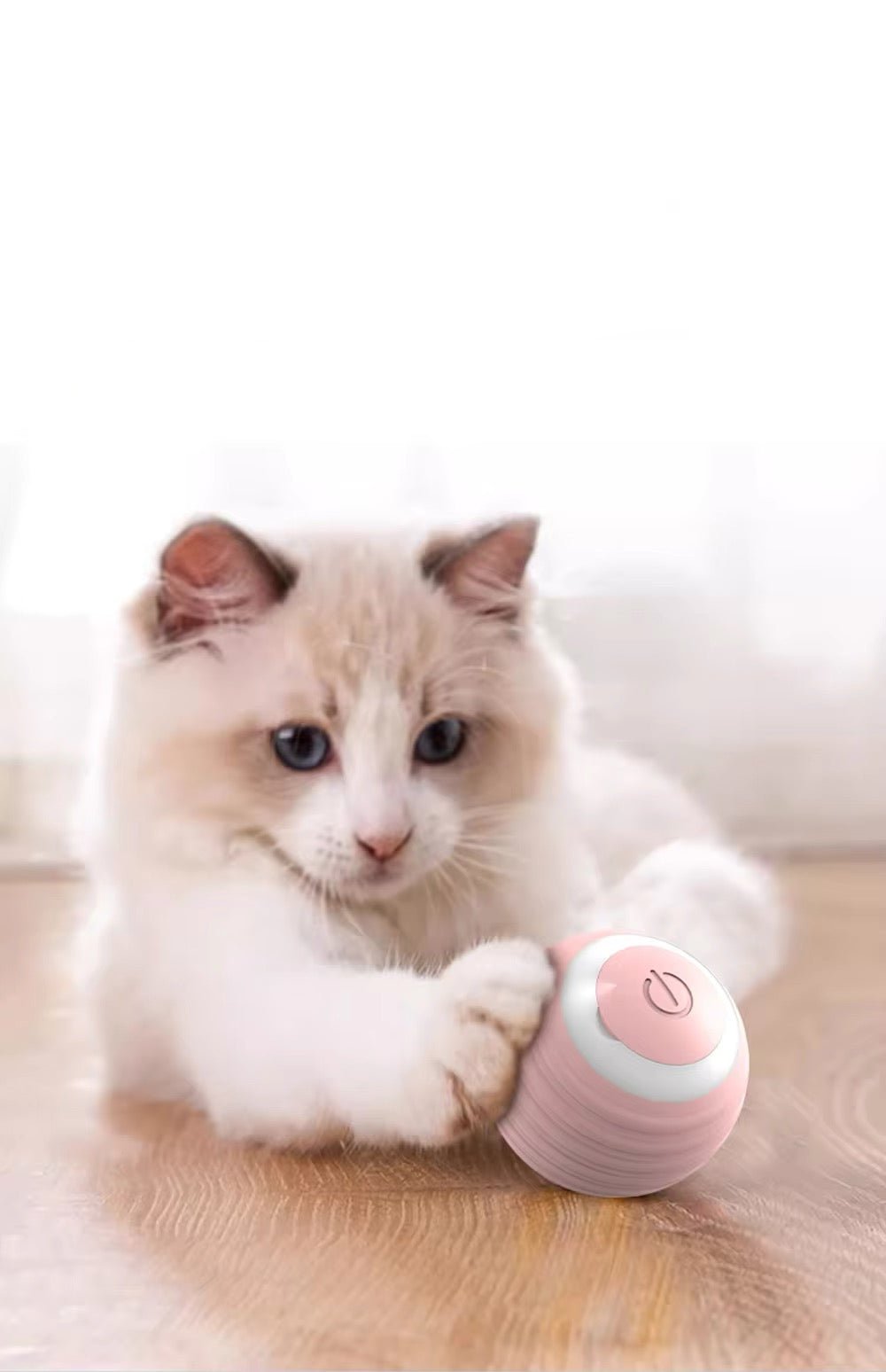 Pelota interactiva para gatos