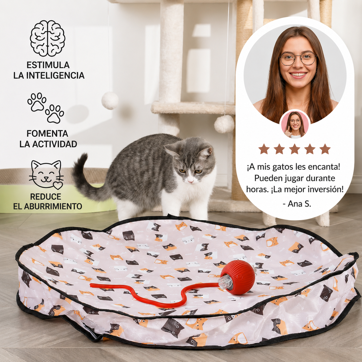 Juego interactivo de escondite con una pelota para gatos