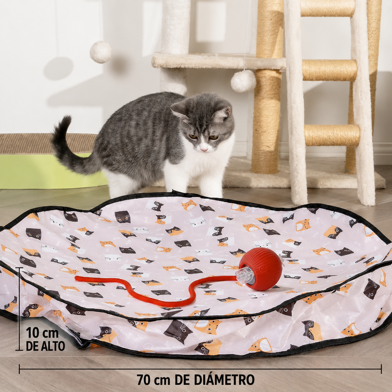 Juego interactivo de escondite con una pelota para gatos