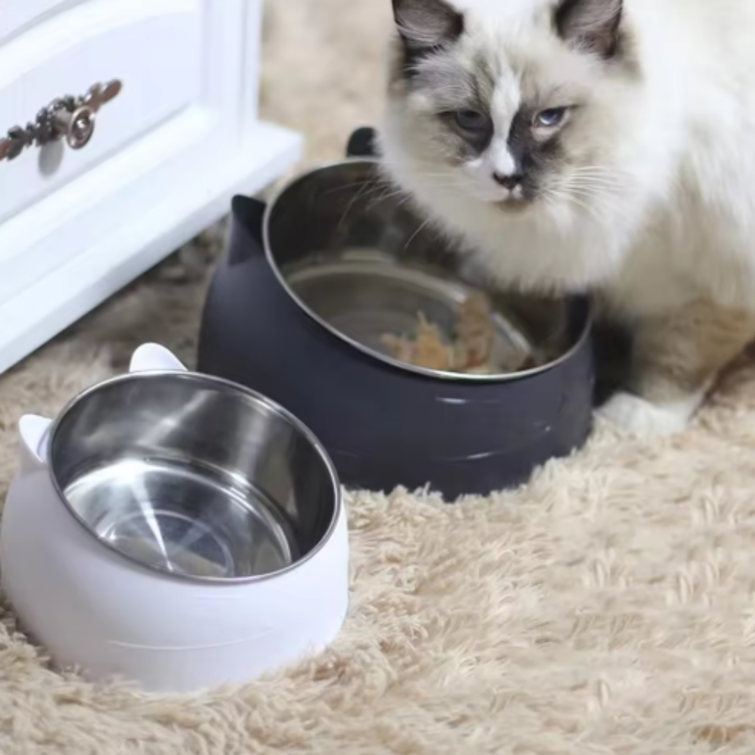 Erhöhte Katzenfutterschale – FutterKomfort