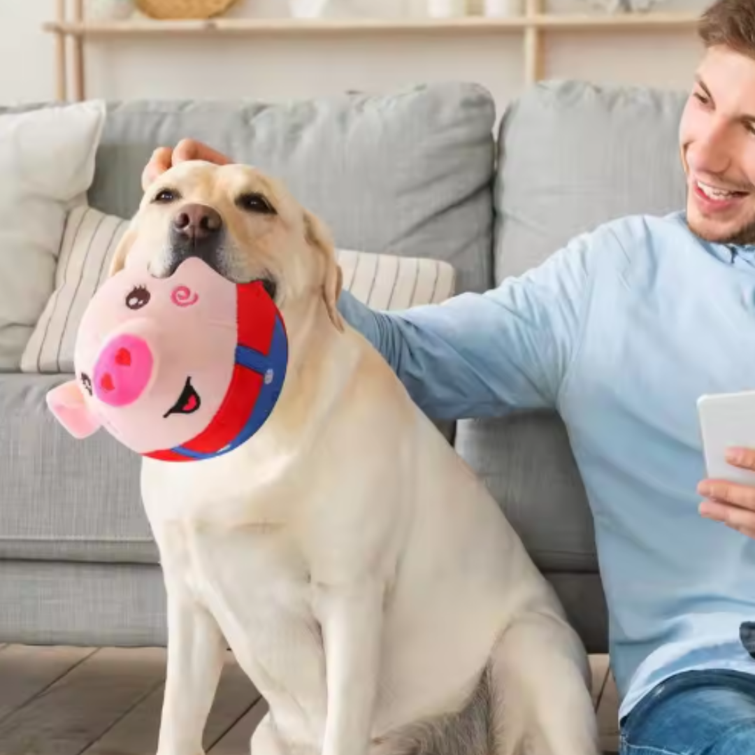 PerroRover: Diversión sin límites para tu perro