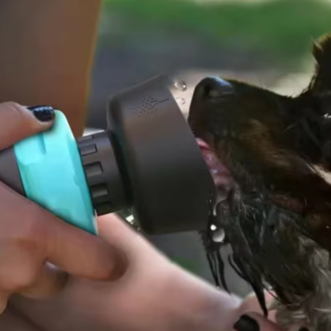 Faltbare Hunde-Wasserflasche - WasserPaws