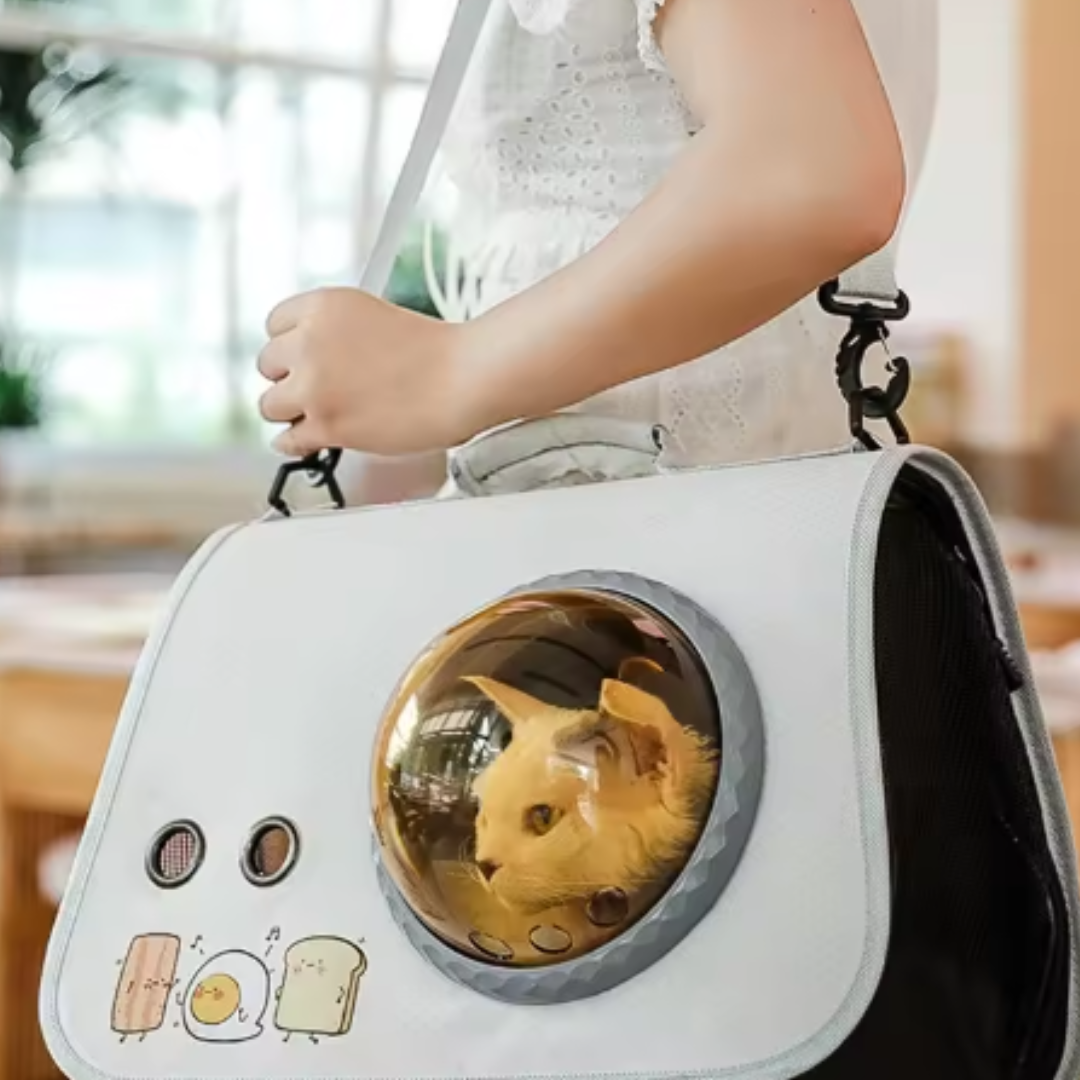 Bolsa de viaje para mascotas, apta para avión y coche
