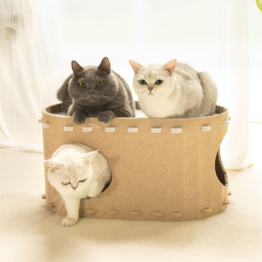 Acogedora casita para gatos de fieltro
