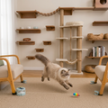 Automatisches Katzenspielzeug mit Laufbahn