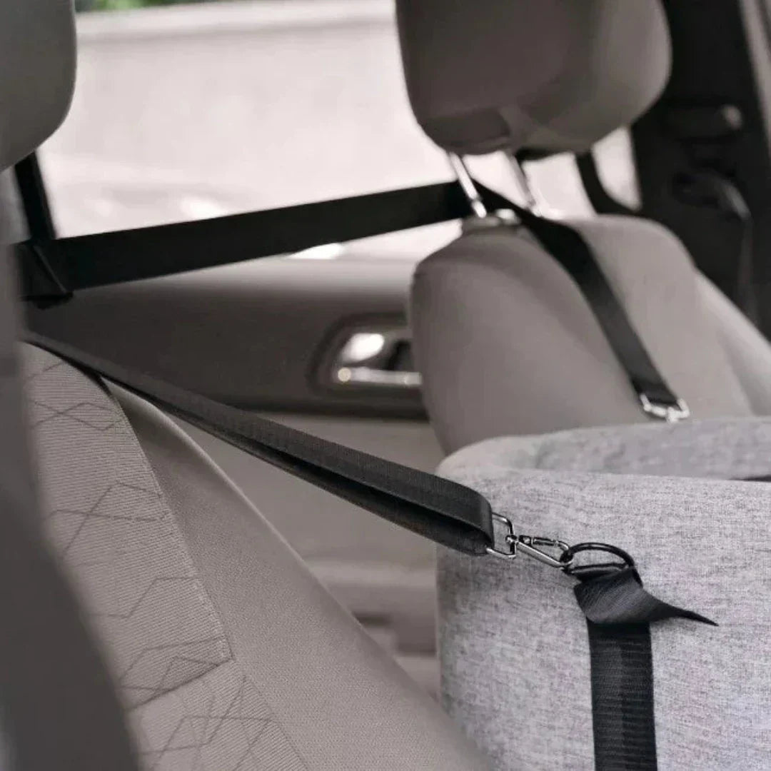 Asiento de coche para mascotas – PawTravel