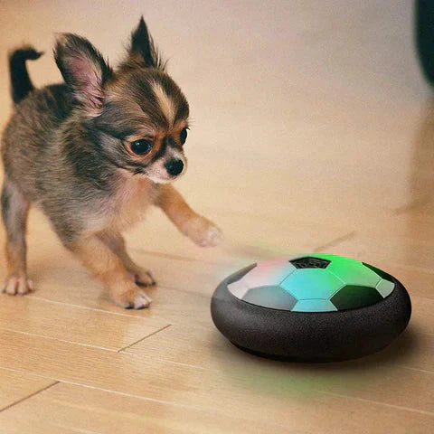 Juguete interactivo de fútbol para perros: juguete profesional para lanzar y patear