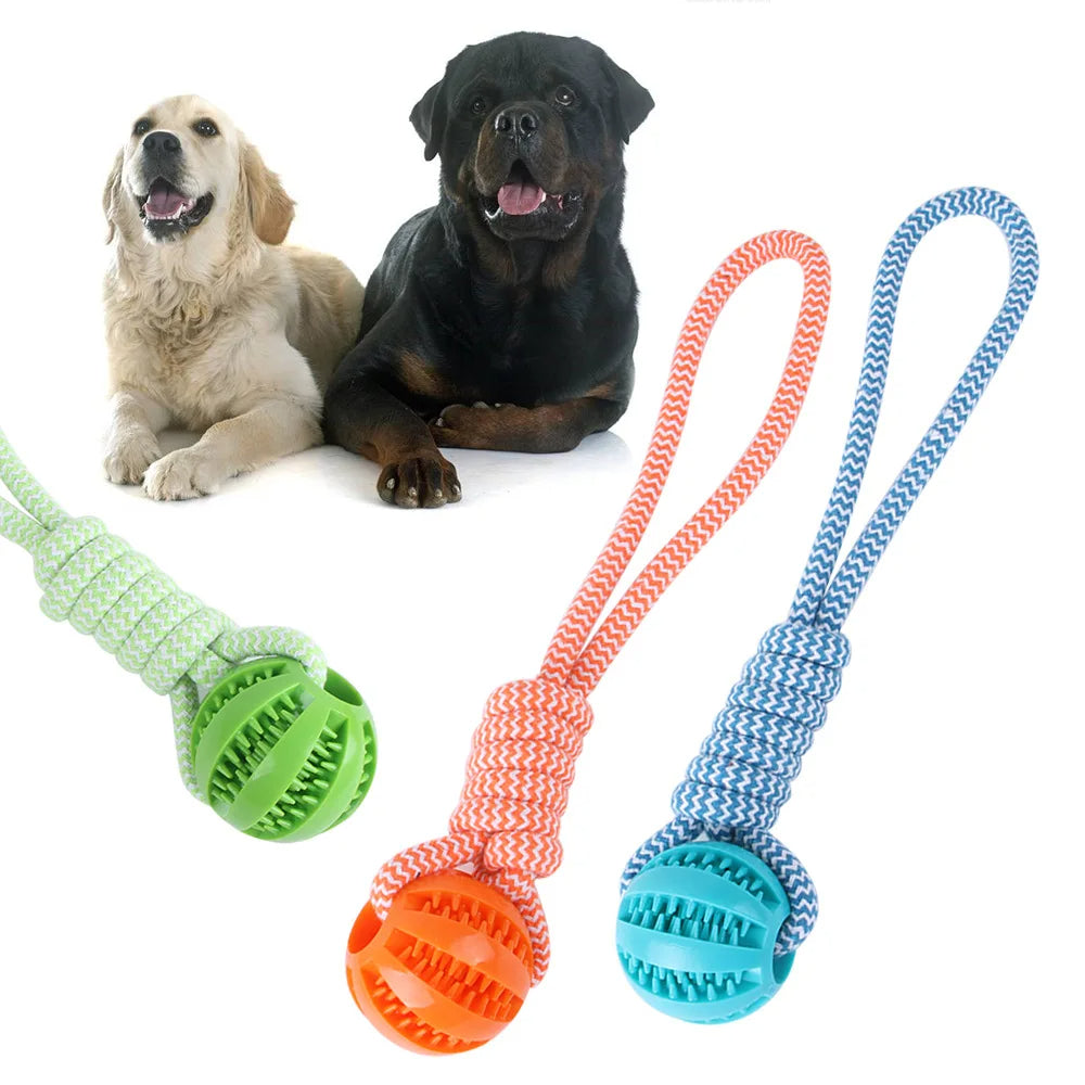 Pelota masticable para perros para la limpieza dental