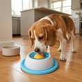 Plato interactivo para golosinas y juguetes masticables: comedero lento para perros