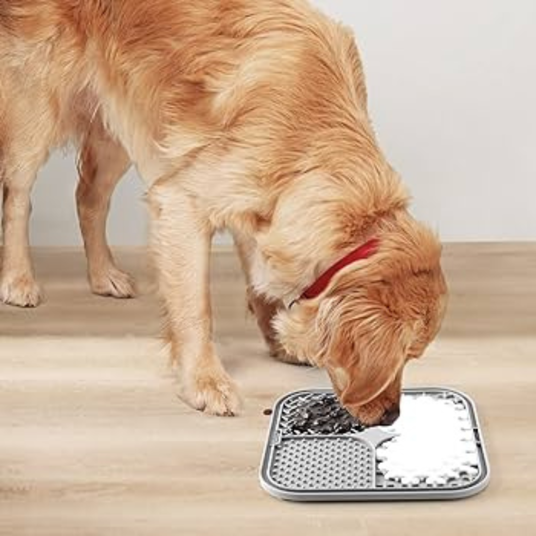 Alfombrilla para perros con juego de lamido