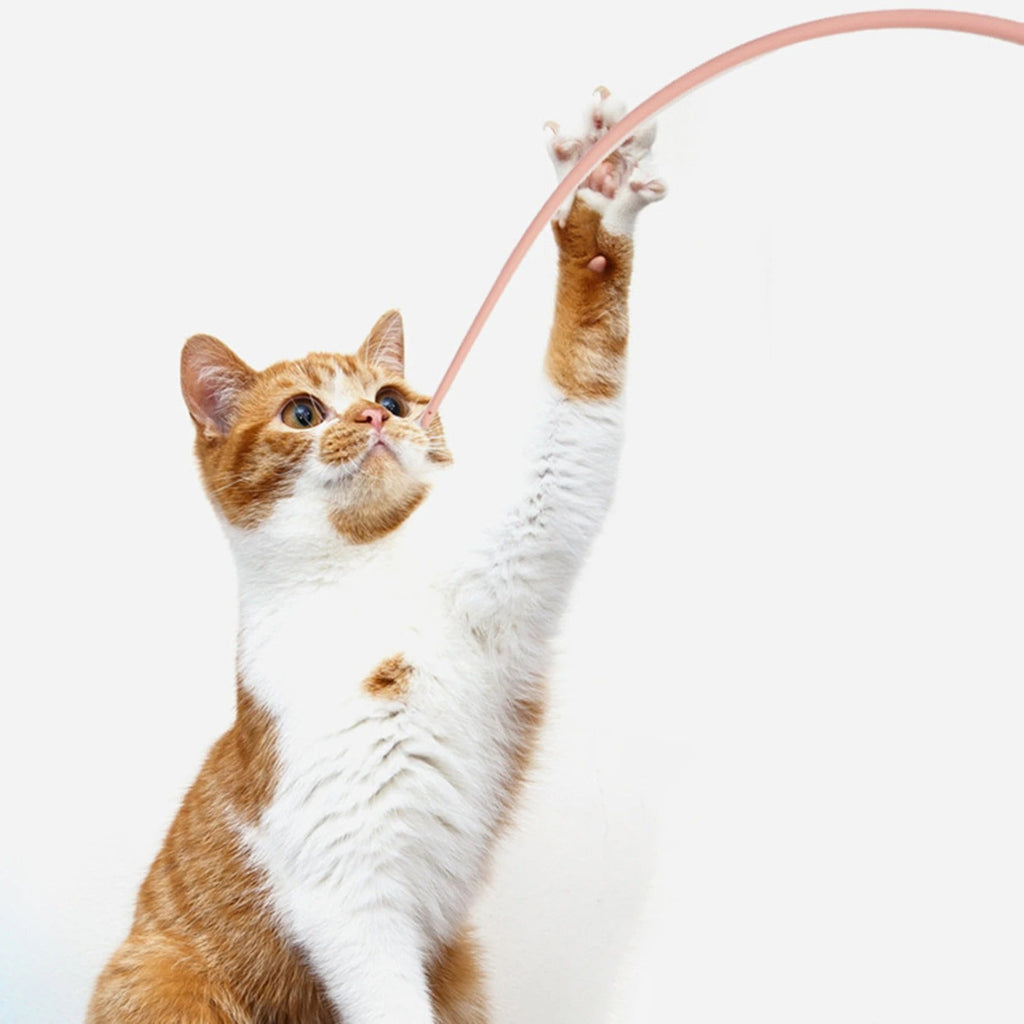 Juguete interactivo para gatos en forma de palito