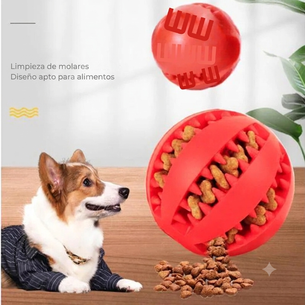 Pelota masticable para perros para la limpieza dental