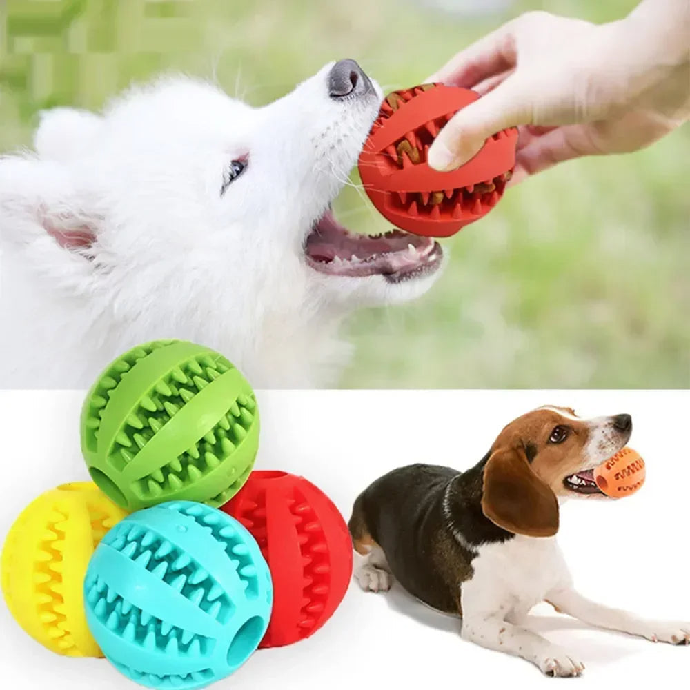 Pelota masticable para perros para la limpieza dental