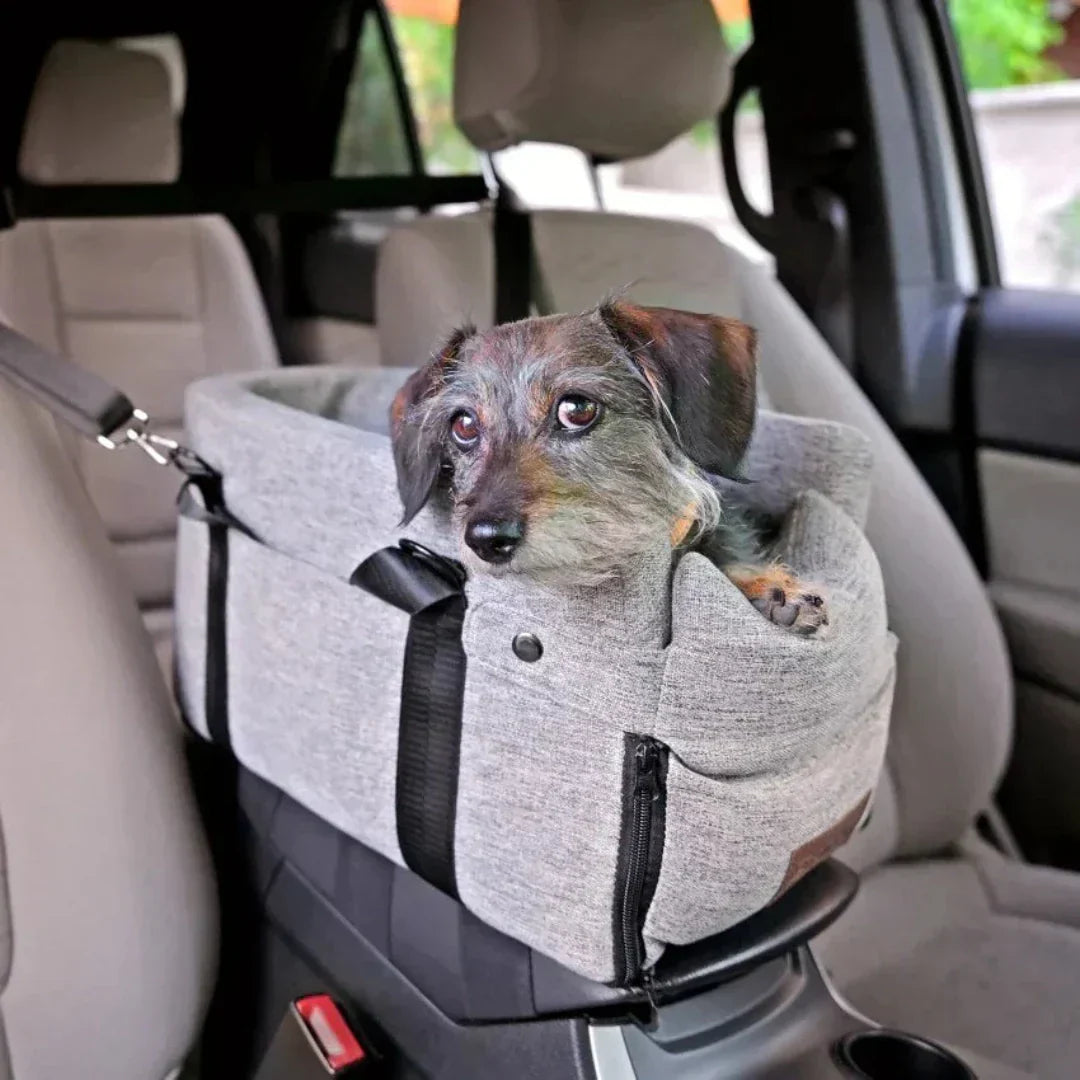 Asiento de coche para mascotas – PawTravel