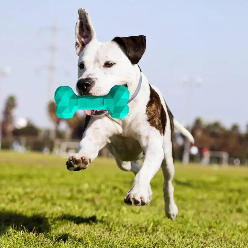 Huesos masticables interactivos y duraderos para perros