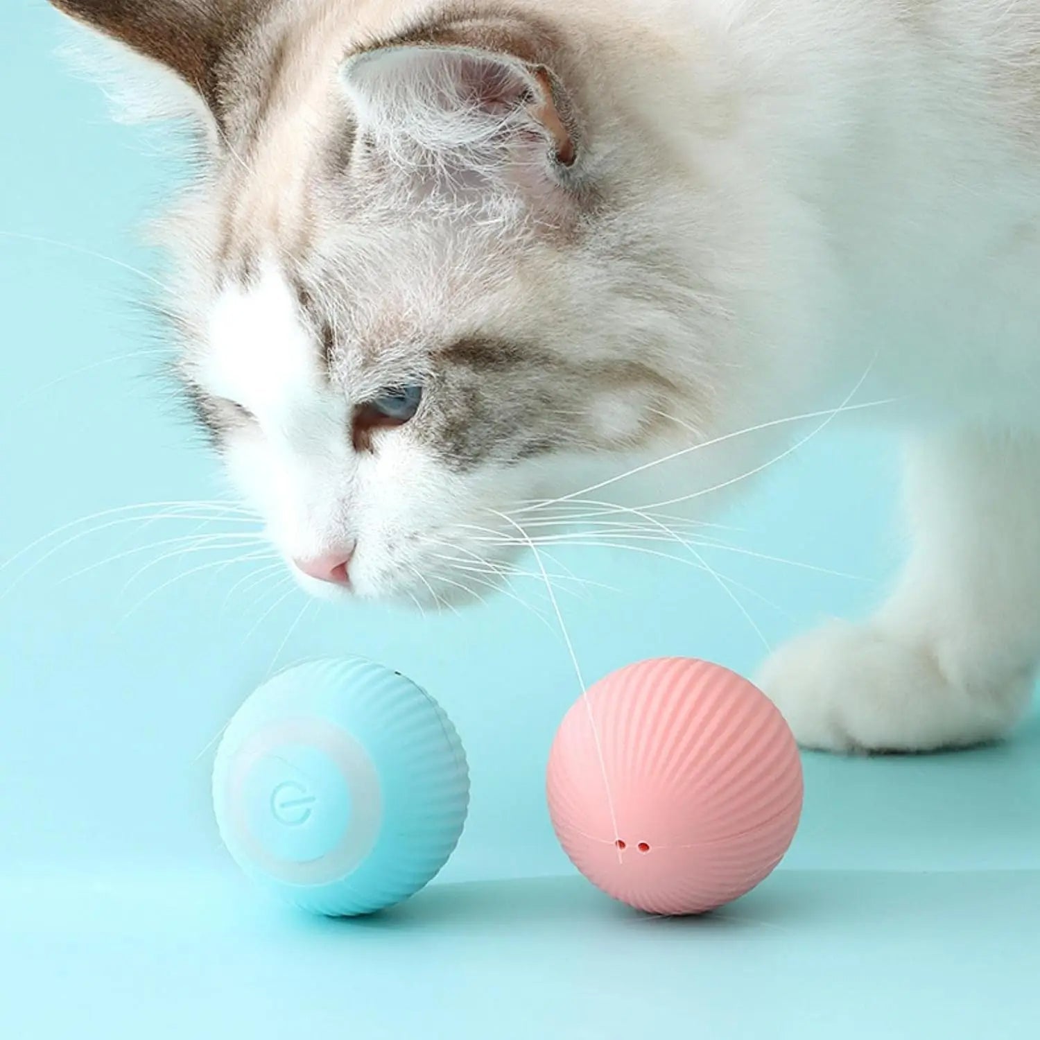 Pelota interactiva para gatos