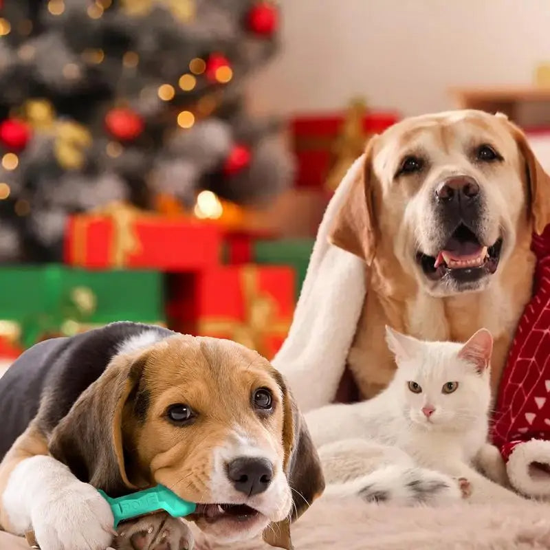 Huesos masticables interactivos y duraderos para perros