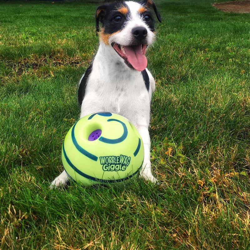 Pelota interactiva para perros