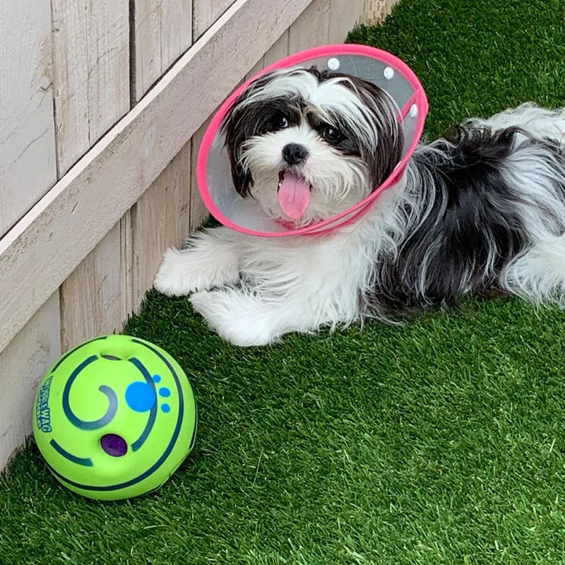 Pelota interactiva para perros