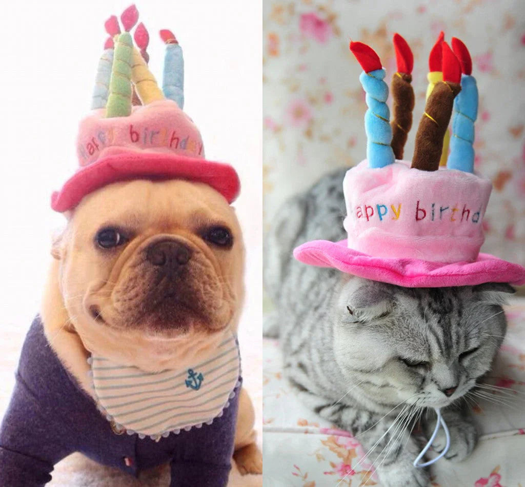 Sombrero de cumpleaños para perros y gatos – FestFell