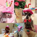 Sombrero de cumpleaños para perros y gatos – FestFell