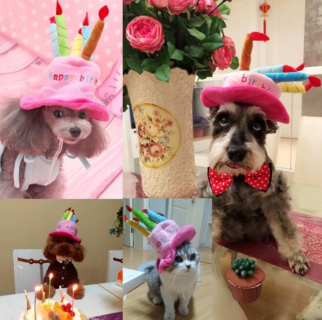 Sombrero de cumpleaños para perros y gatos – FestFell