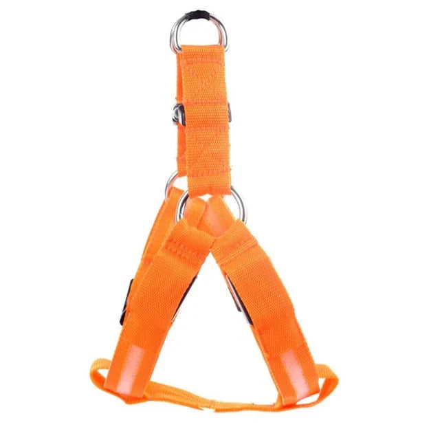 GlowSafe LED Hundegeschirr