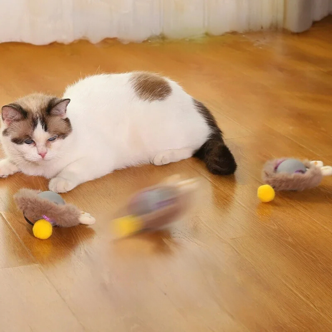 Juguete interactivo con pelo para gatos