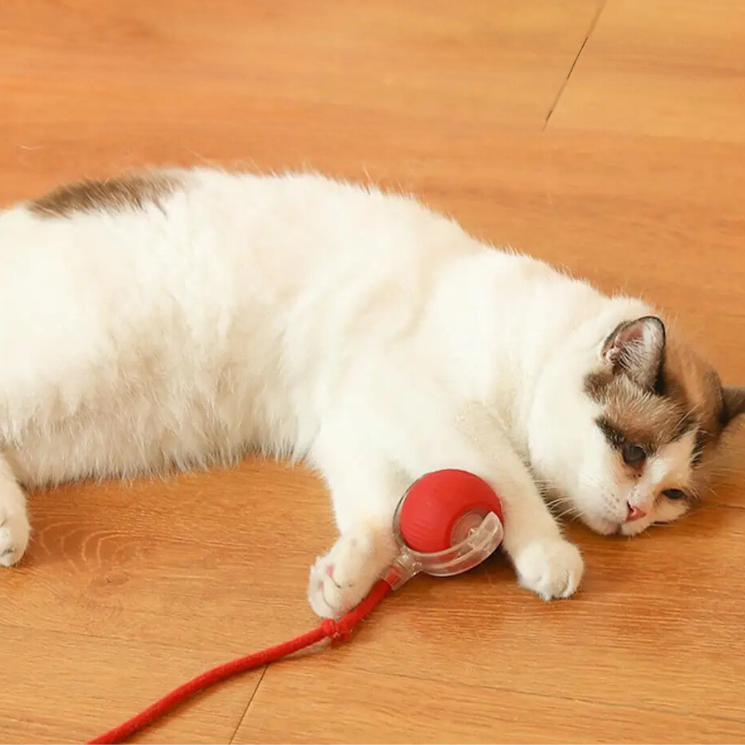 Juguete interactivo con cola para gatos