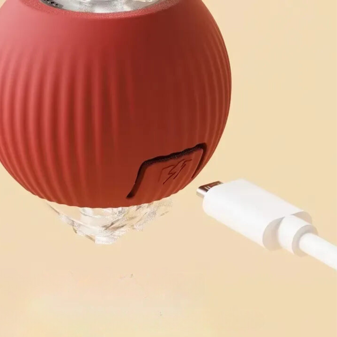 Pelota interactiva con cola para perros