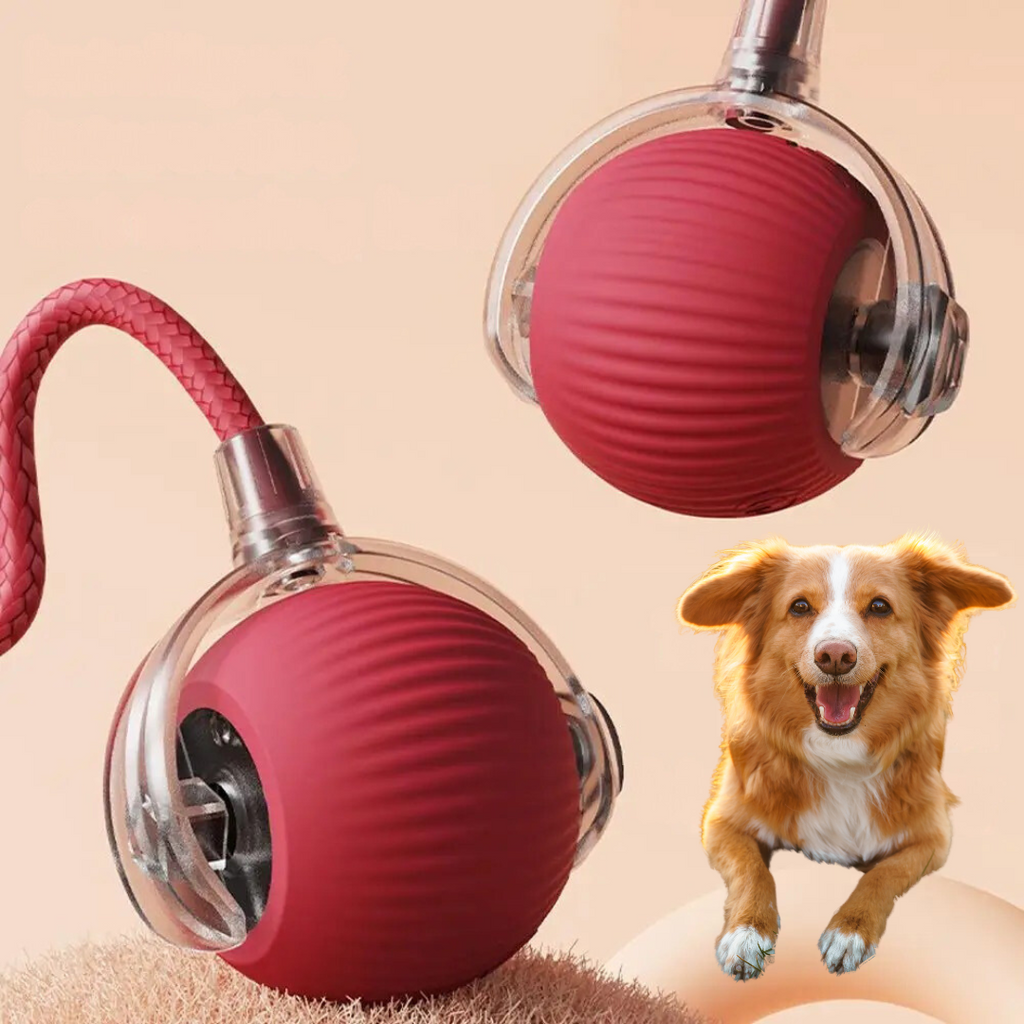 Pelota interactiva con cola para perros