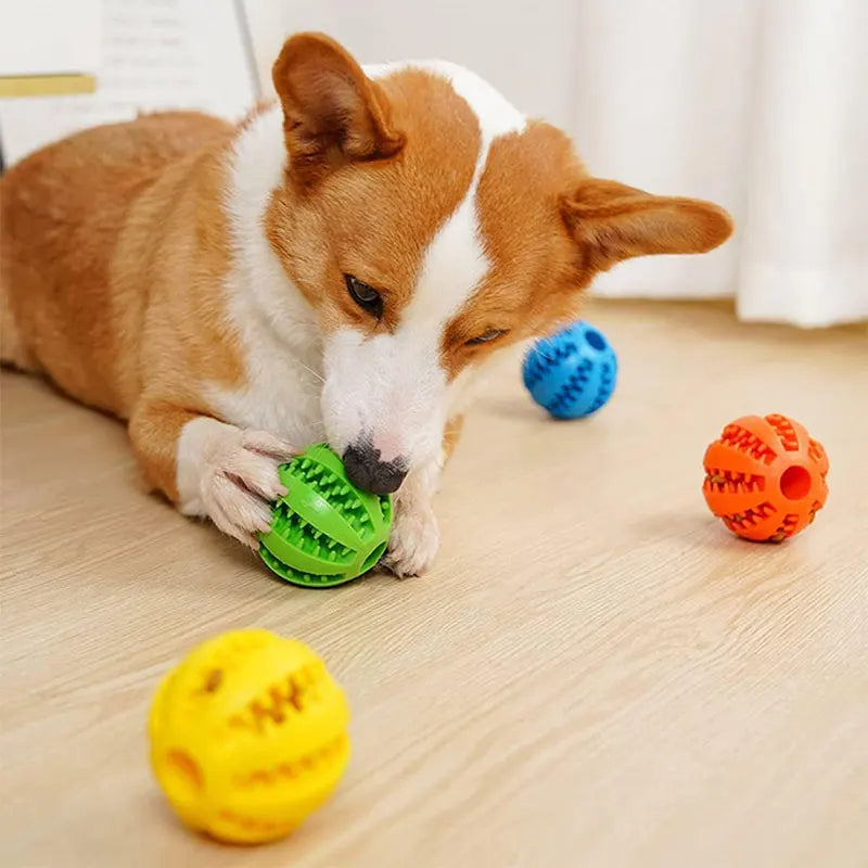 Pelota masticable para perros para la limpieza dental
