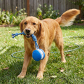 Pelota interactiva y resistente para perros: juguete de movimiento con cuerda para tirar en colores para perros